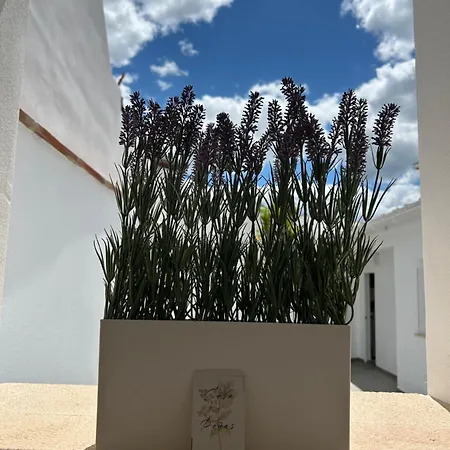 Casa Penas 2 Apartman Ronda