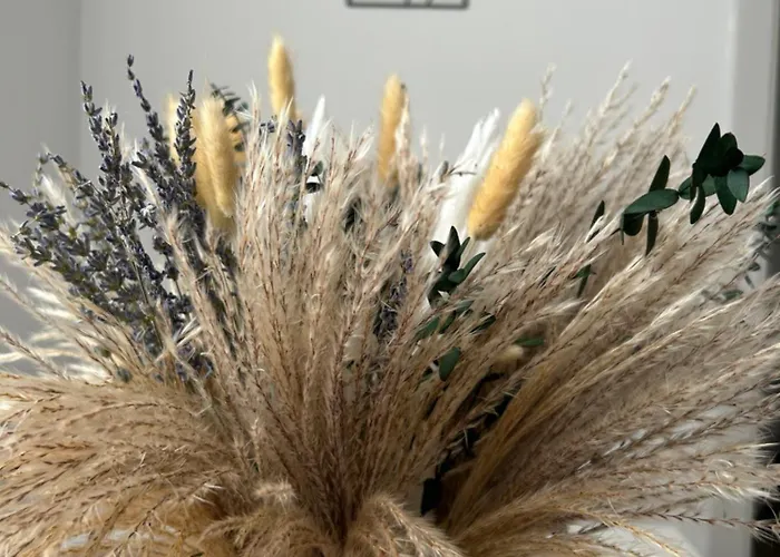 Casa Penas 2 Apartman *