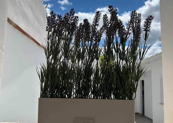 Casa Penas 2 Apartman Ronda